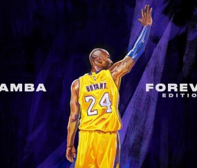 kaiyun官方-迷雾中的突围，Rookie率队挺进下一轮，悬念与争议并存，Rookie率队破雾晋级，赛场内外悬念争议齐飞